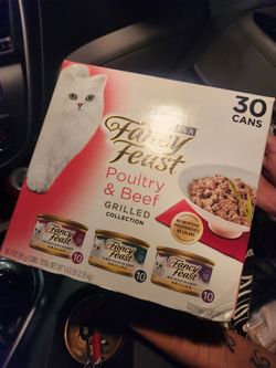 cat food