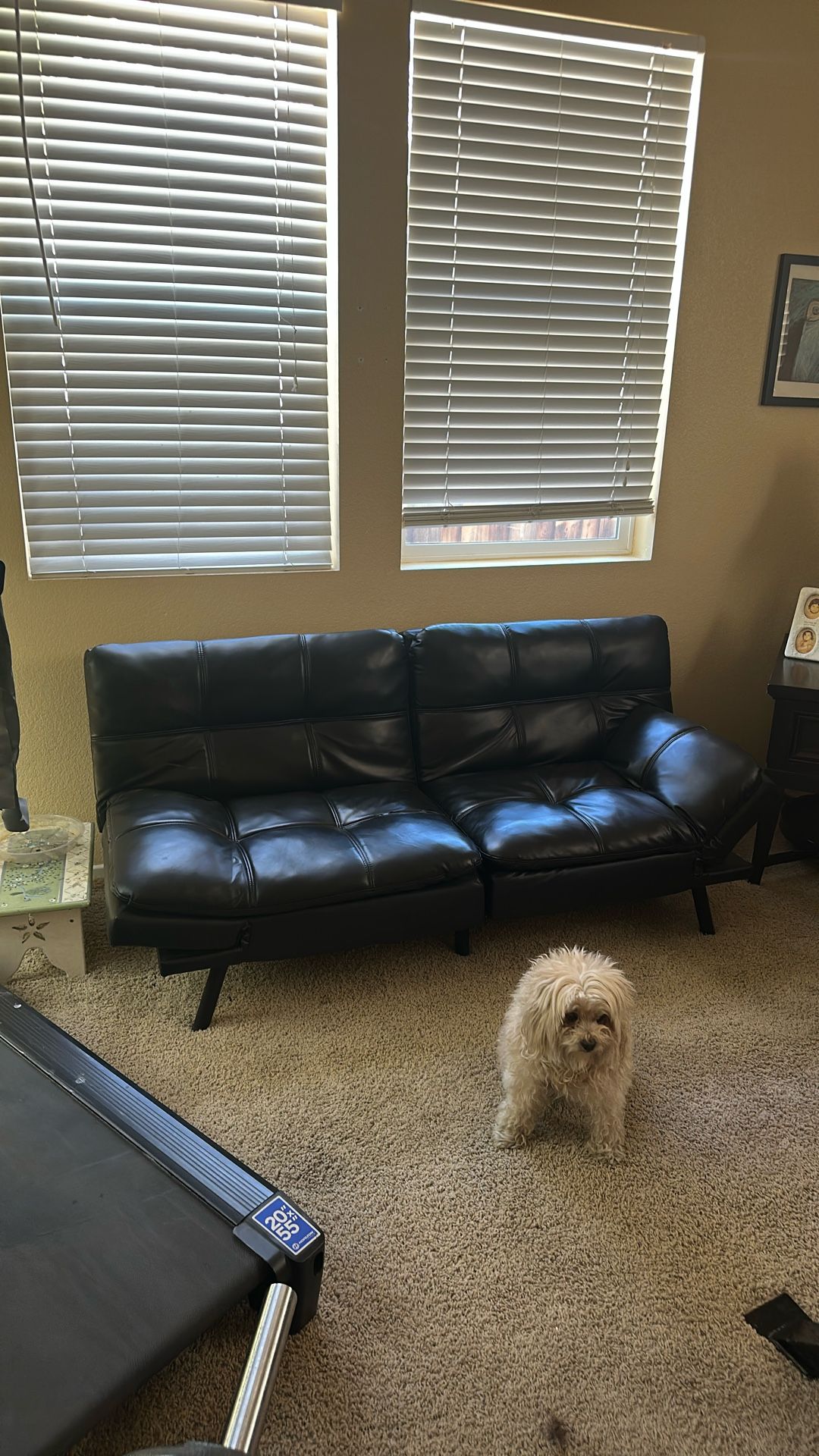 Futon For Sale