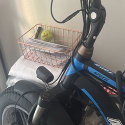 Electric Bike 48 v