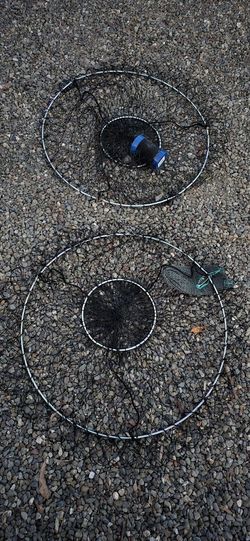 Crab Rings Brand New