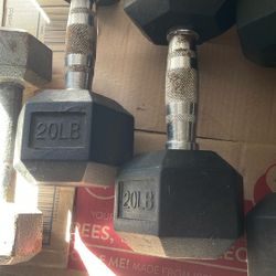 20 Lbs Dumbbells 