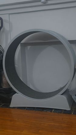 Large Cat Exercise Wheel
