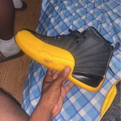 Yellow And Black Jordan 12s 