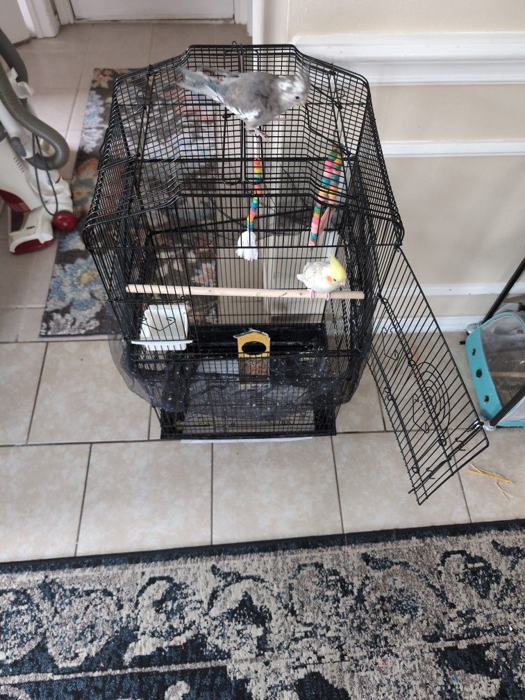 Bird Cage (Toys And Birds Not Included)