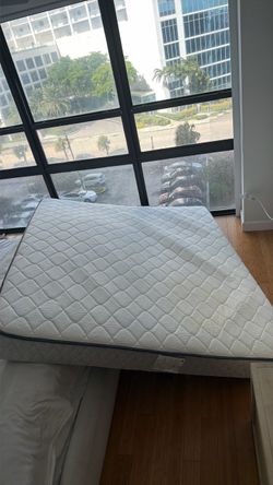 Sealy Mattress California King