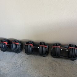 Adjustable Dumbbells