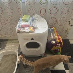 Petkit Pura X Self-Cleaning Cat Litter Box