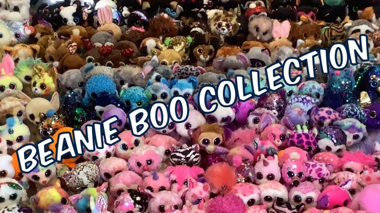 Beanie Boo Collection 