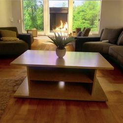 Beautiful Easy Wheels 🛞 Coffee Table Or TV Stand w/Storage & Extra Side Shelving 