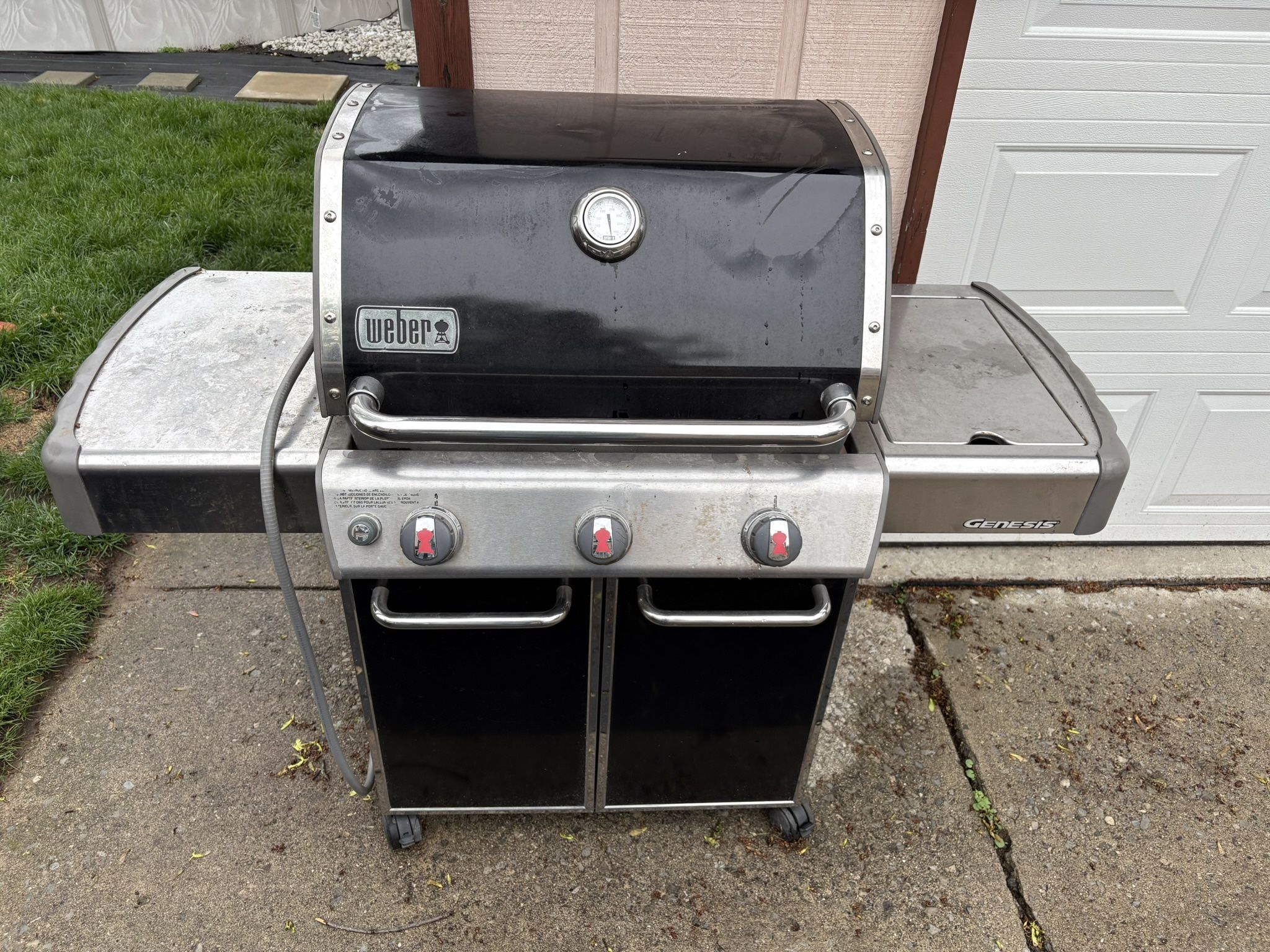Weber Gas Grill