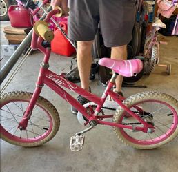 Lil Girls Bike $10