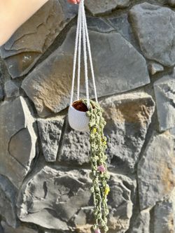 Crochet Plant