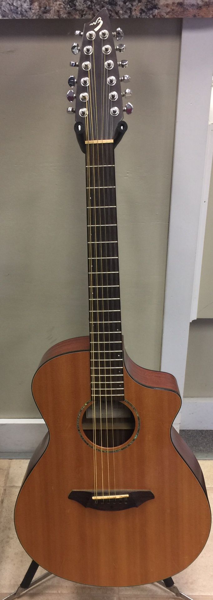 Breedlove 12 String Acoustic Guitar AC250/SM-12 w/ Hard Case