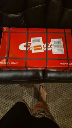Eibach springs for Audi A6