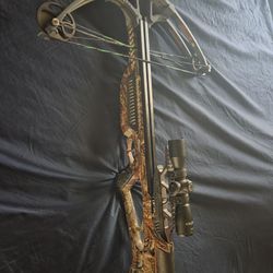Barnnet Bow