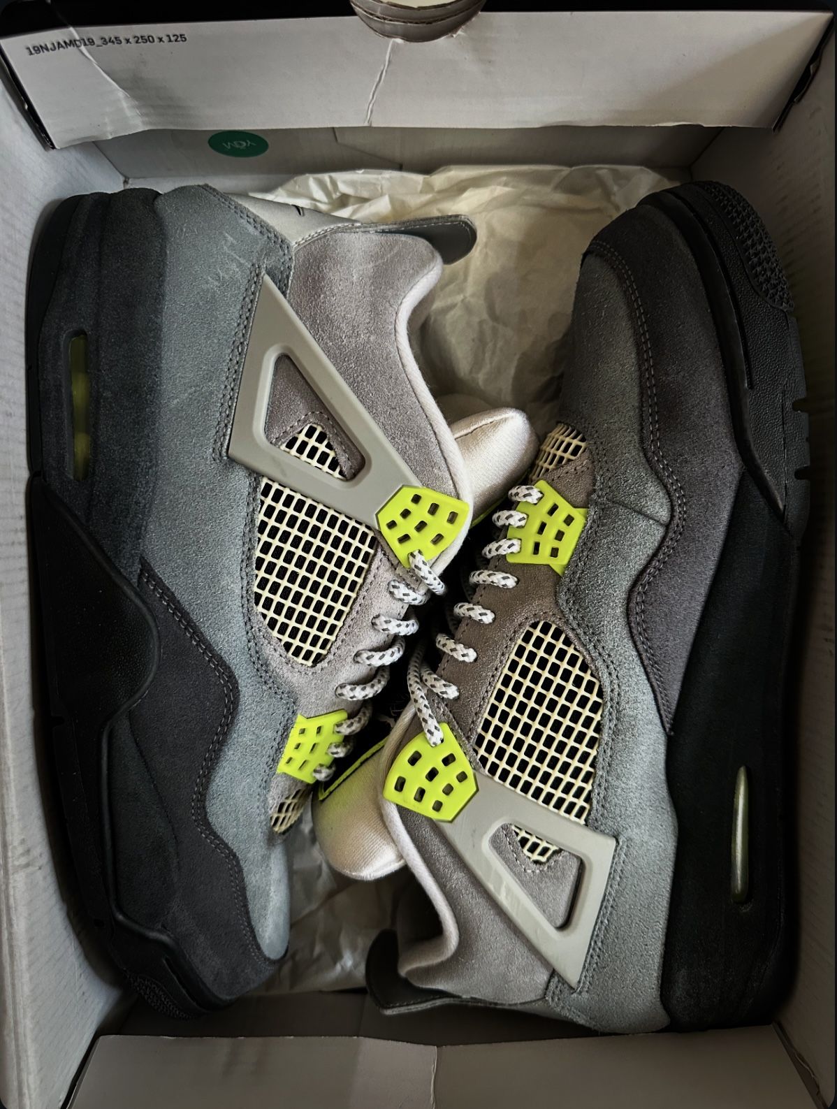 Jordan 4 Retro SE 95 Neon