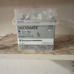 Stainless Steel Screws