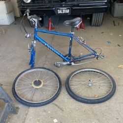 Mountain Bike