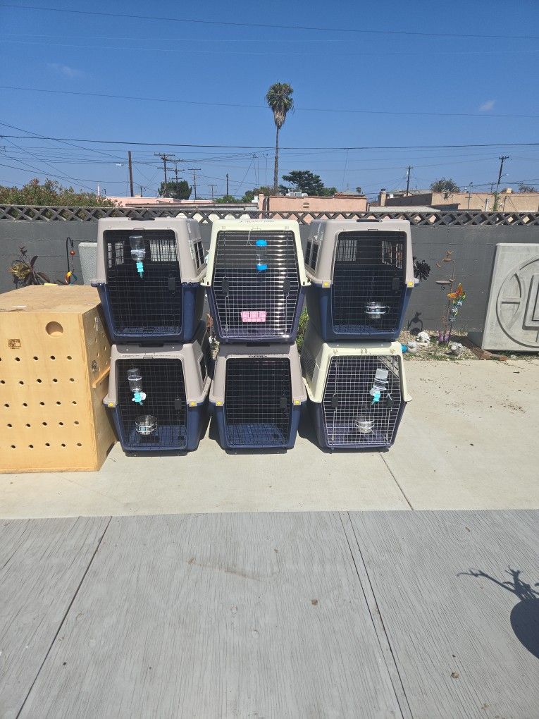 Large Dog Traveling Kennels