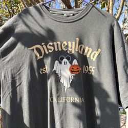 Disney Shirts (Used)