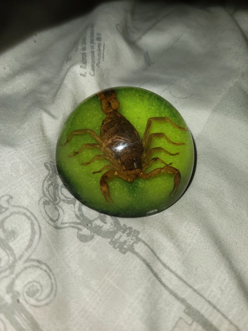 25 Golden Scorpion Dome Paperweight Green