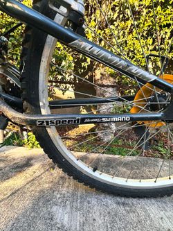 Trail bike