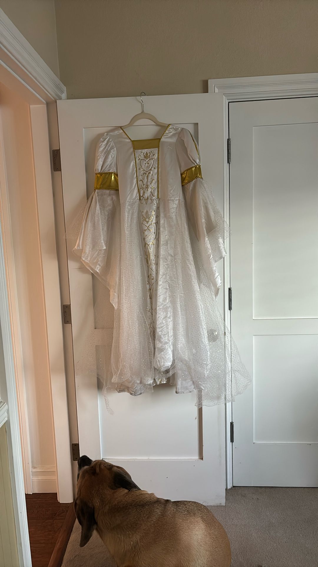 Guinevere Halloween costume