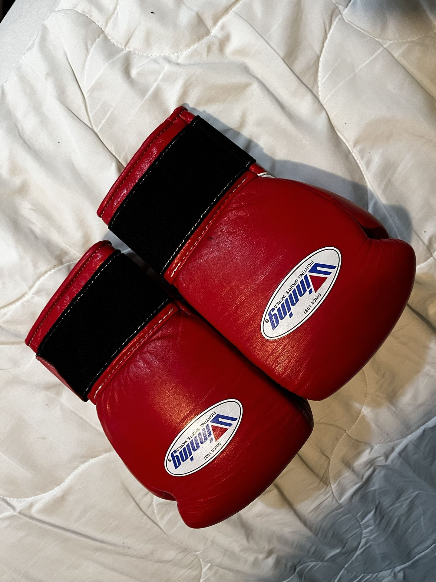 Winning Boxing Gloves
