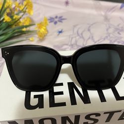 Gentle Monster DREAMER 17 Sunglasses For Men Women. NO BOX, NO CASE