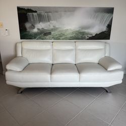 Sofia Vergara Collection 