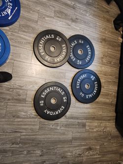 Bumper Plates 40lbs Total