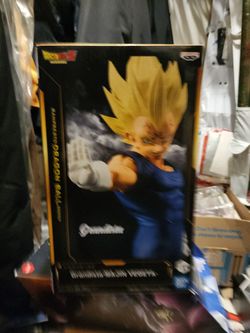 Magin Vegeta