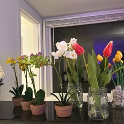 Faux Flowers- Roses, Orchids & tulips