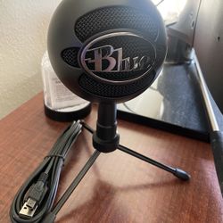 MICROPHONE 