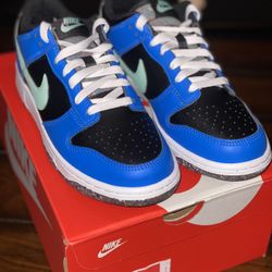 Nike Dunk (brand new)