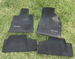 Lexus RX350 2010 Original Floor Mats. Just Dirty