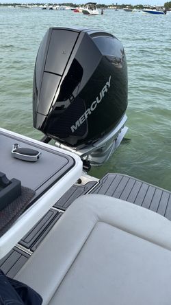 Sea Ray SDX 250