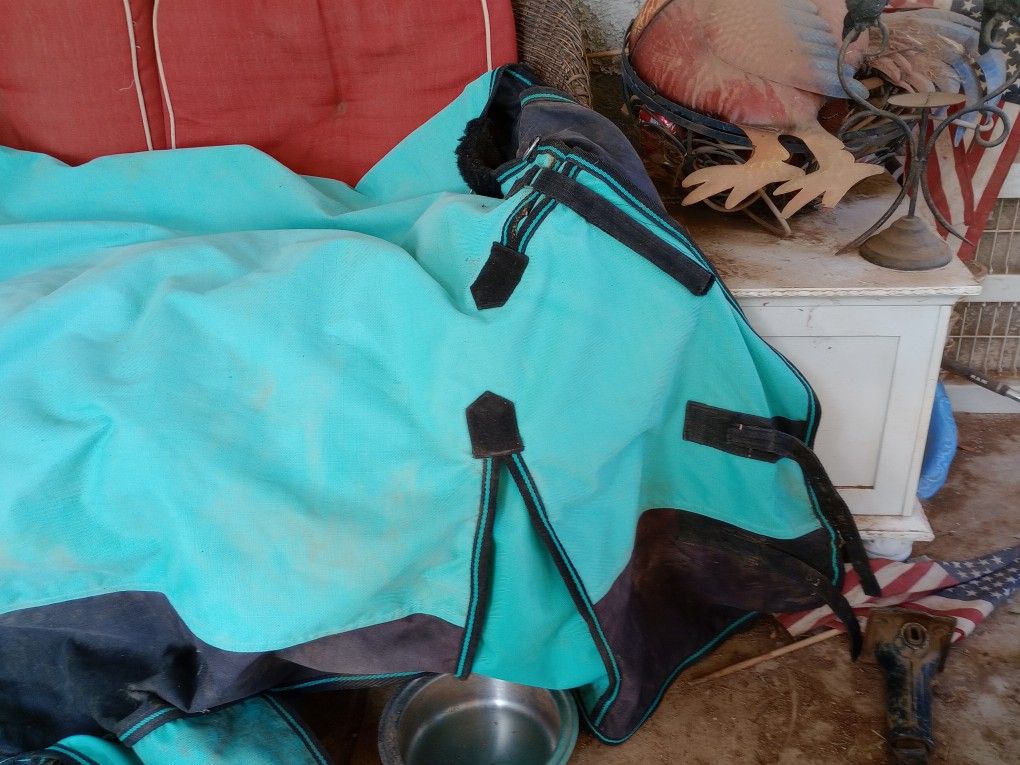 78" Horse Blankets Used Once 