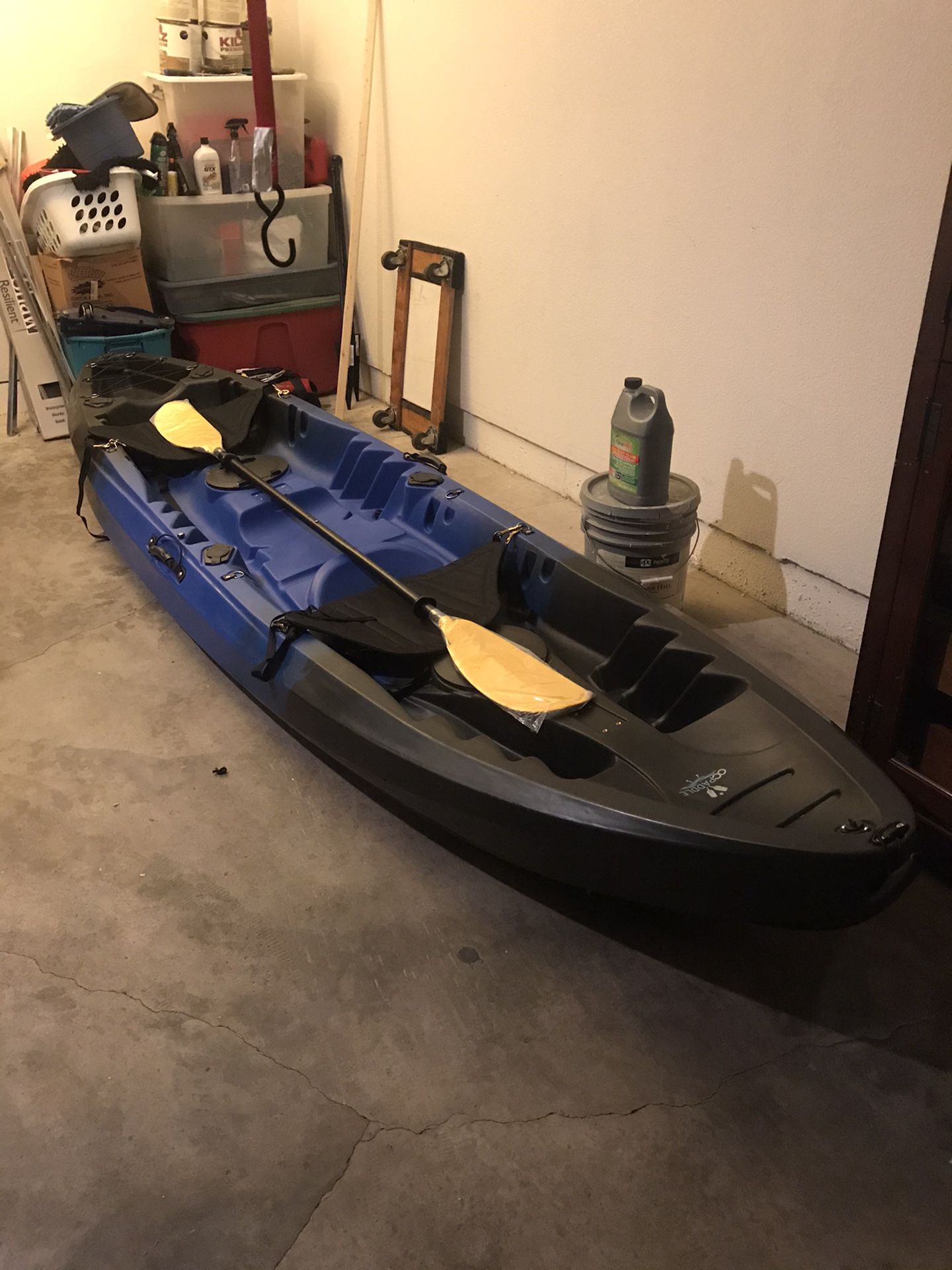 Brand new Kayak two seater