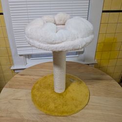 Small Cat Sleeping Tower 