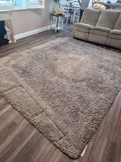 Brown Are Rug