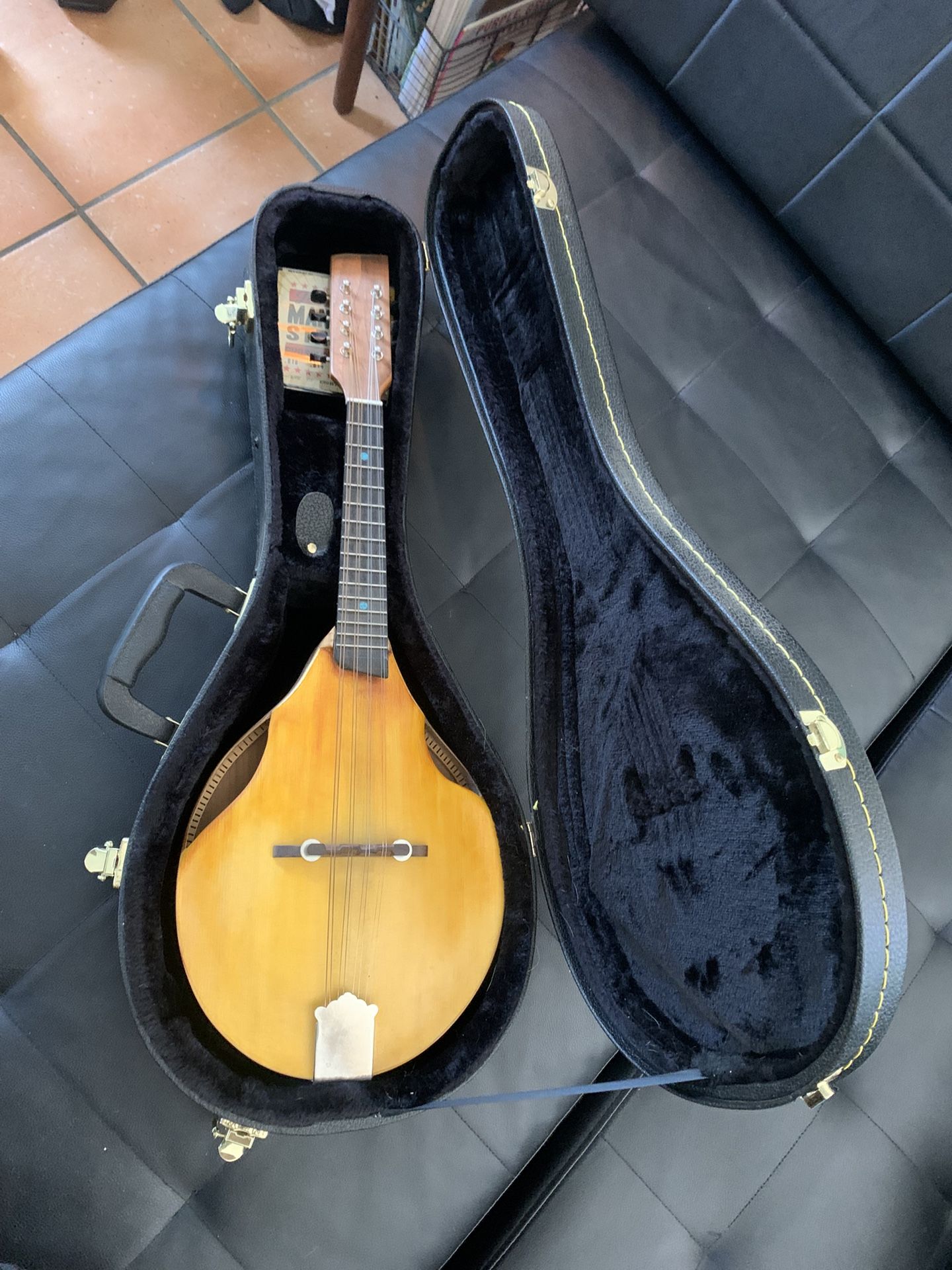 Mandolin