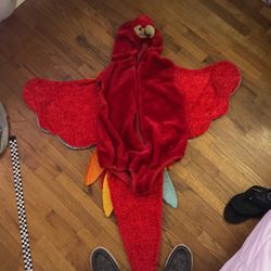 Parrot costume