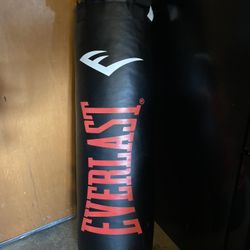 Everlast Punching Bag 