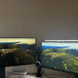 Desktop Monitors and Arm