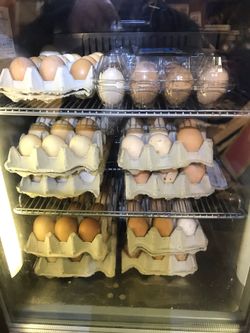 Fresh chicken eggs 5$ per dozen