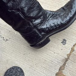 Alligator boots