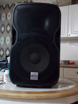 Alto Pro PA speaker