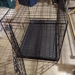 You & Me 1-Door Folding Dog Crate, 36" L× 22 W x 24.5" H Large Dog