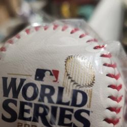 Dodgers Vs Yankees World Series Baseball ⚾️ 